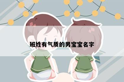 班姓有气质的男宝宝名字