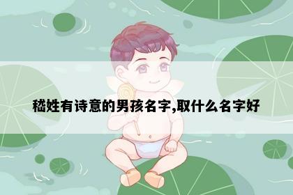 嵇姓有诗意的男孩名字,取什么名字好